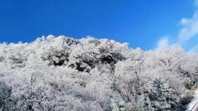 全民烧脑3去广告版