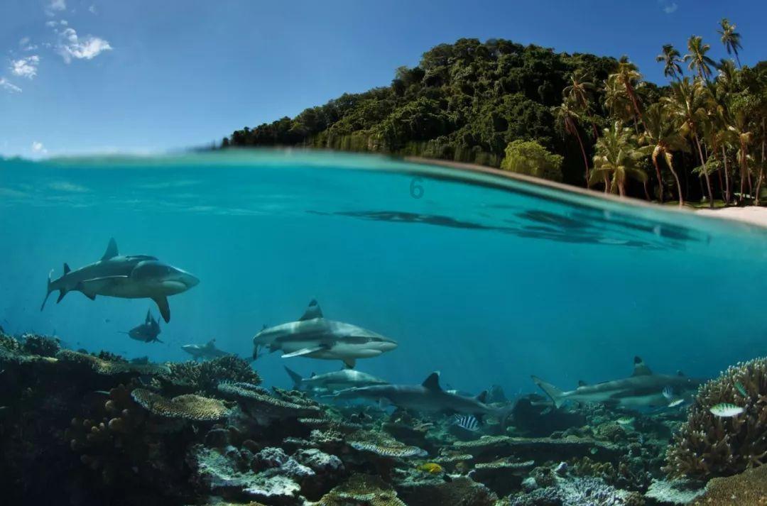 琼州海峡:今年的过海体验有点不一样