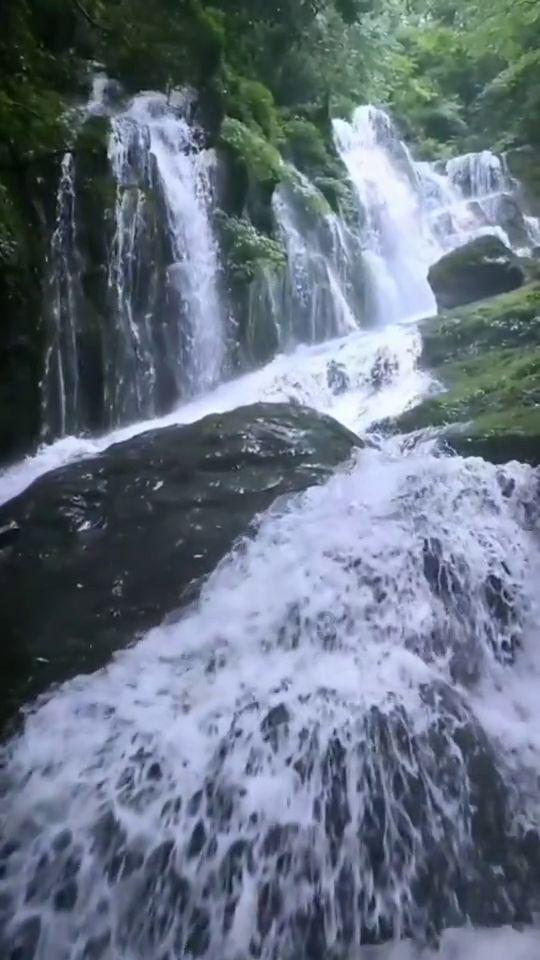 救援大嘴鸟