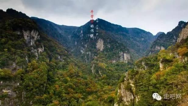 除猫浮毛小能手，速净快捷安心，希喂宠物空气净化器深度体验评测