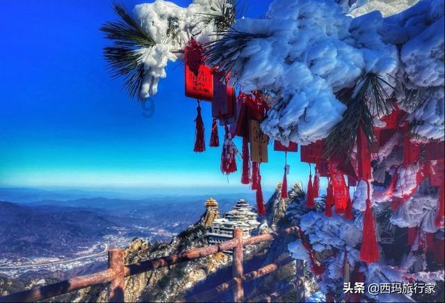 敏捷小球